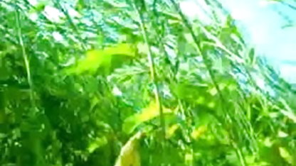 अश्लील टिनी सेक्सी पिक्चर मूवी सेक्सी पिक्चर मूवी डकोटा गड़बड़ हो जाता है